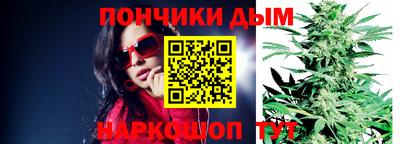 гидропоника Дубна